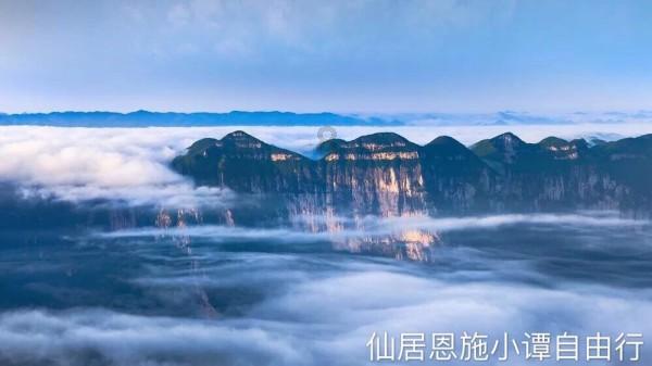 探索知识的请问网友,这是什么植物?谢谢回答!蜗牛问答平台
