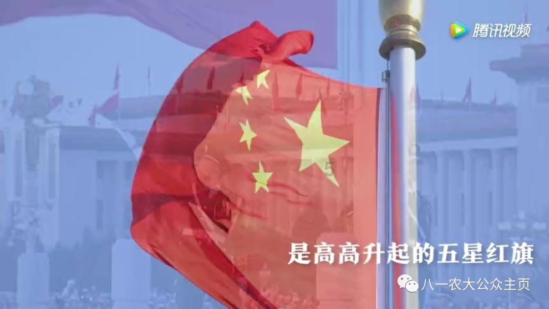 全红婵能成为奥运史上“前无古人后无来者”的王者吗?-专业的有问必答平台