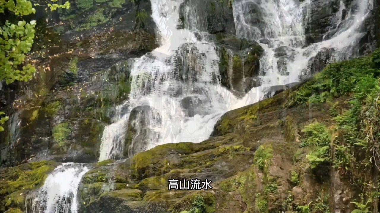 母亲去世俩星期参加别人婚礼对谁不好?知识星球平台 - 探索无限的知识宇宙