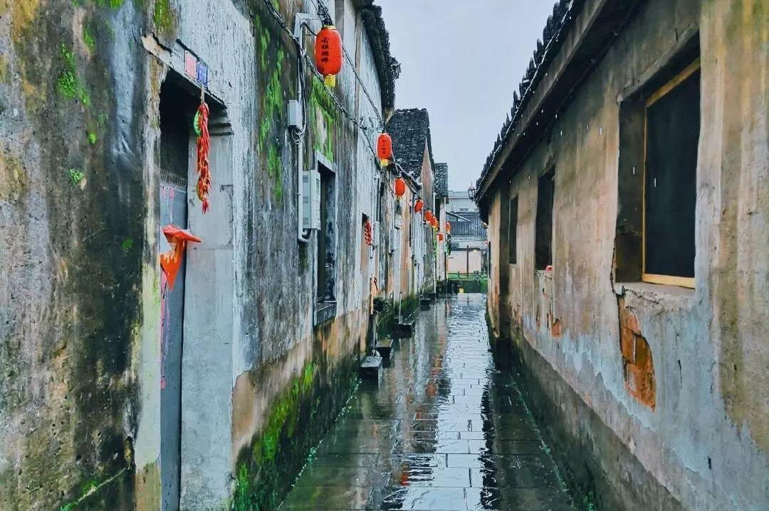 相约阿古拉 调研农文旅中视艺宣