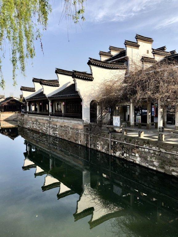 探讨热门话题,畅游懒柿子怎么做天涯问答平台